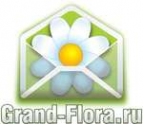 Логотип компании Доставка цветов Гранд Флора (ф-л г. Алексин)